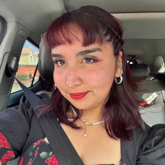 Babysitter in Antofagasta: Liset