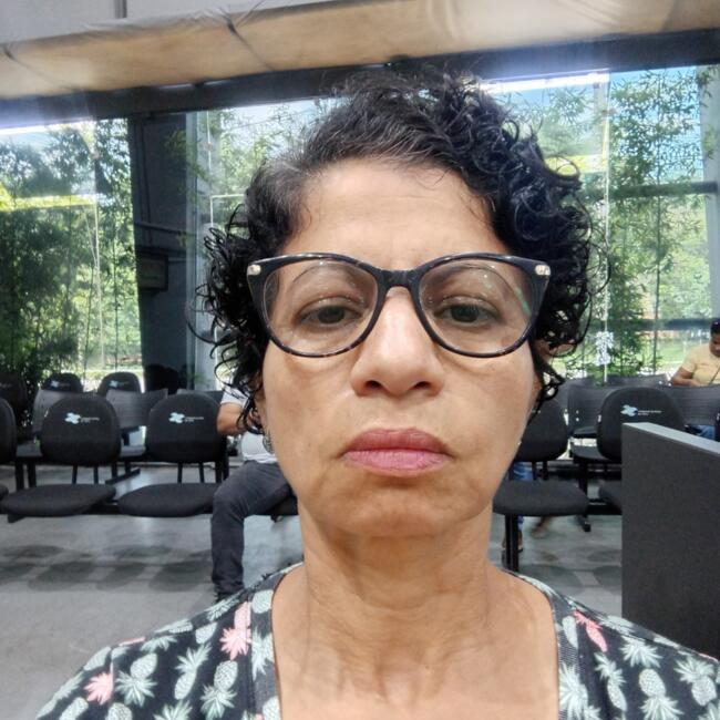 Babysitter in Suzano: Nizelia Santos