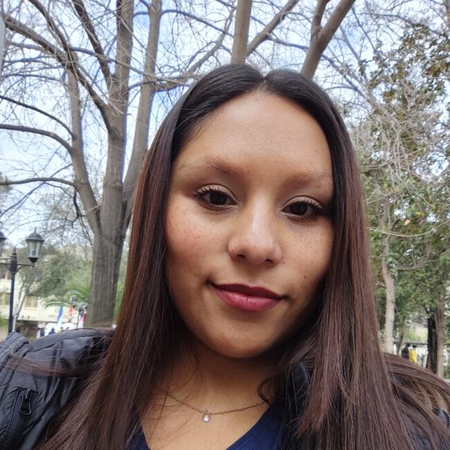 Niñera en Providencia: Katherine