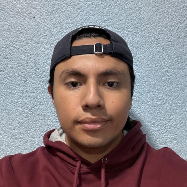 Babysitter in Mexico City: Luis