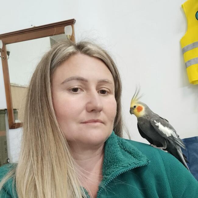 Babysitter in Benavente: Aura