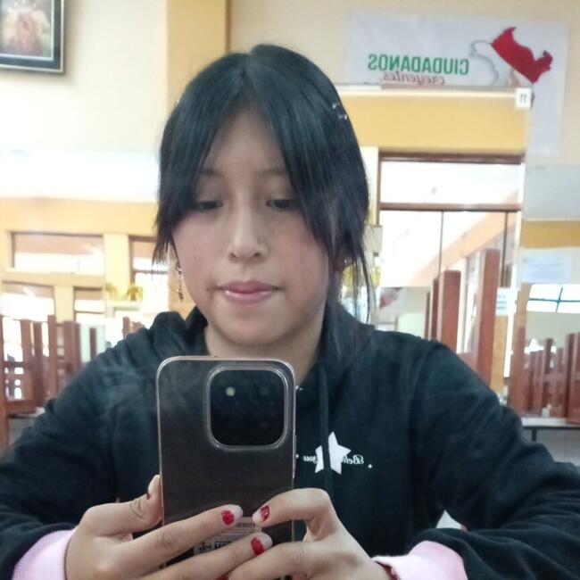 Babysitter in Miraflores District: Nayel