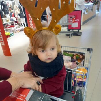 Babysitting job in Alba Iulia: babysitting job Nelutu