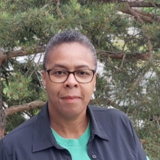 Nanny in Gatineau: Ago Sylvie Anne Dominique