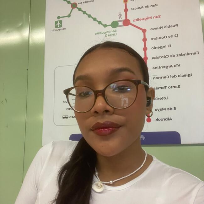 Babysitter in Veracruz: Magdilis Pascual 