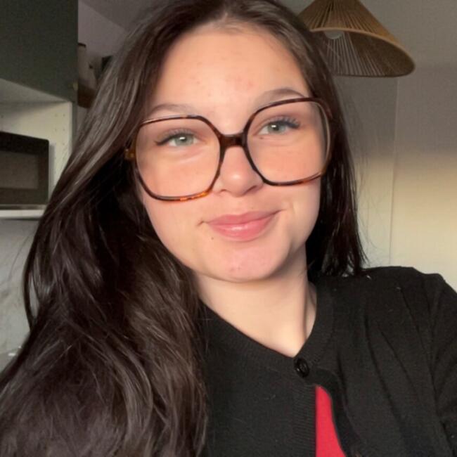 Babysitter in Plumelec: Romane