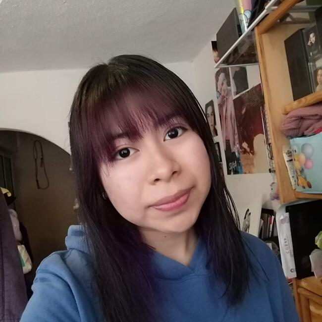 Niñera en Santa Ana Chiautempan: Fátima