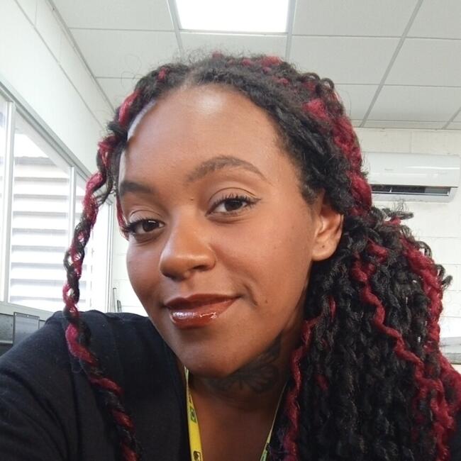 Babysitting job in Louveira: Anny