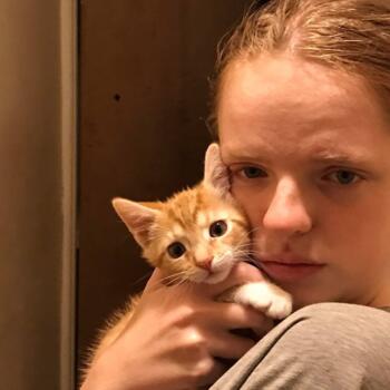 Babysitter in Coatesville (Pennsylvania): Fayth