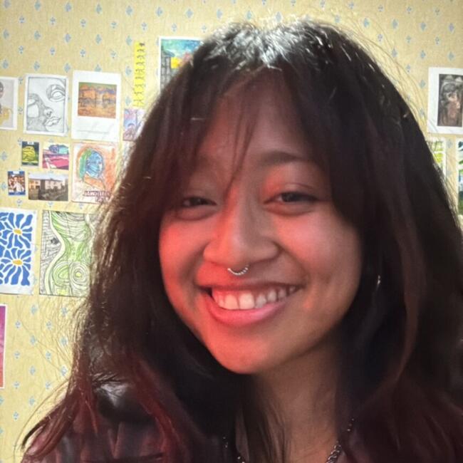 Babysitter in Christchurch: Fye