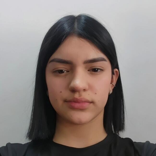 Babysitter in Padre Hurtado: Crokerlys