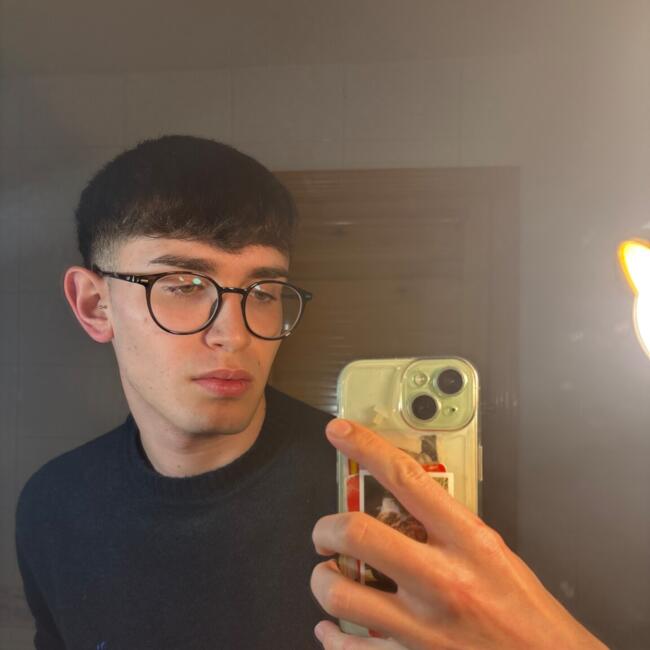 Babysitter in Alcalá de Henares: Javi