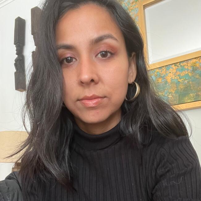 Babysitter in Santiago: Nicole Rivas