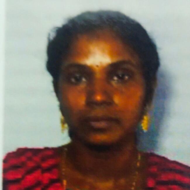 Babysitter in Ernākulam (State of Kerala): Sheeba