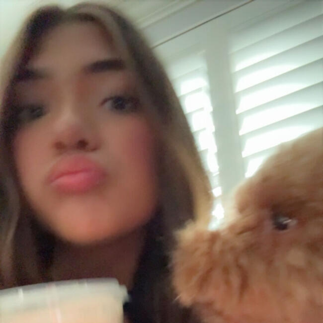 Baby-sitter in Woodbridge: Alexandra aguilar