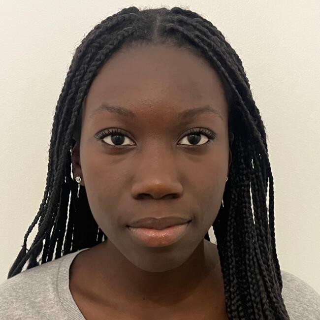 Babysitter in Lagny-sur-Marne: Awa