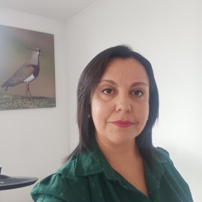 Babysitter in Santiago: Mariela