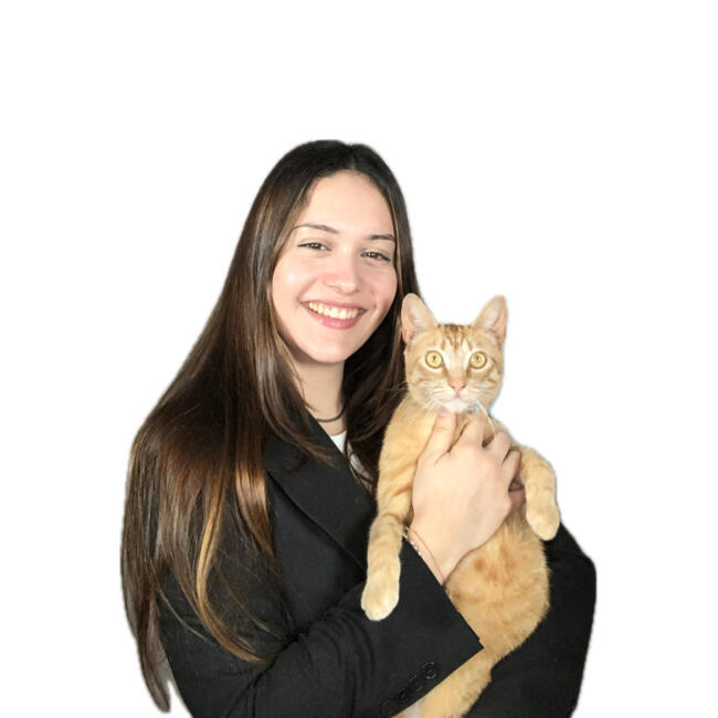 Babysitter in Terrassa: Maria