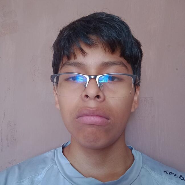 Niñera en Lima: Esthefano Chancafe