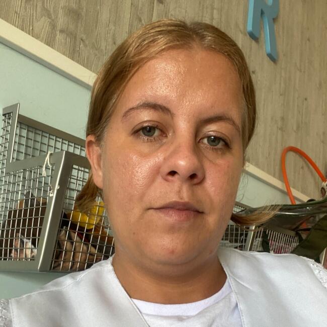 Babá em São Paulo: Dayana