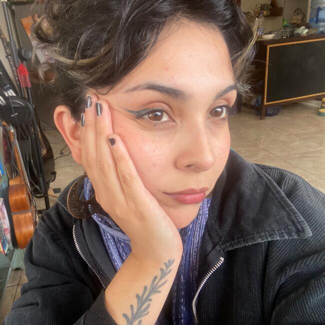 Babysitter in Santiago: Amanda