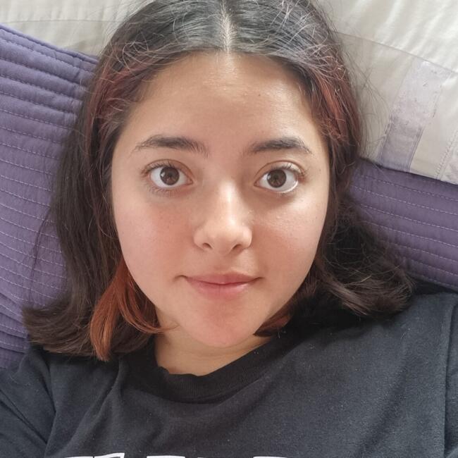 Babysitter in Port Montt: Vale