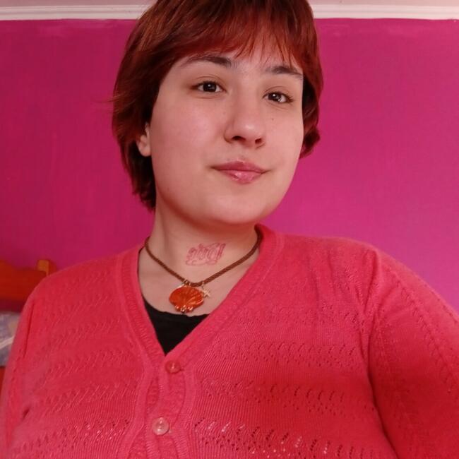 Babysitter in Olavarría: Hanna