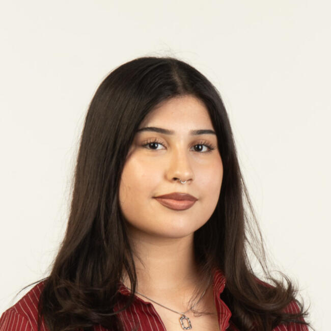 Niñera en Santiago de Chile: Constanza