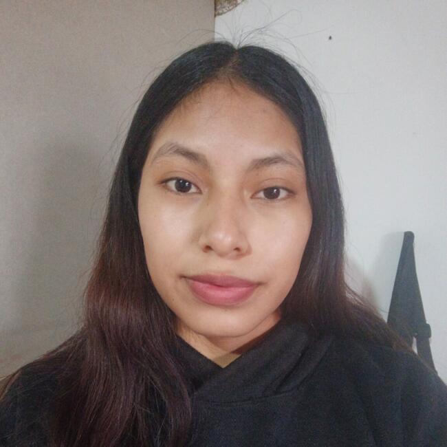 Babysitter in Santiago: Rosa Aida