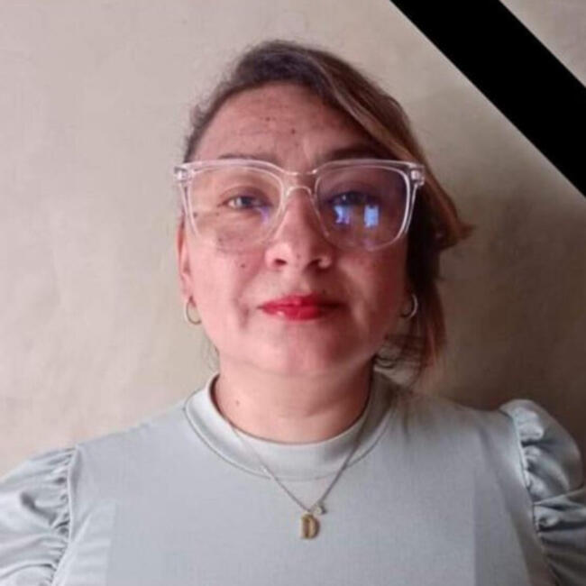 Babysitter in Guadalajara de Buga: Milena Vallejo