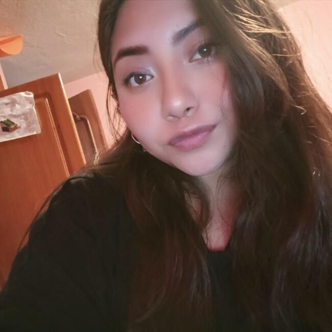 Babysitter in Sangolquí: Camila