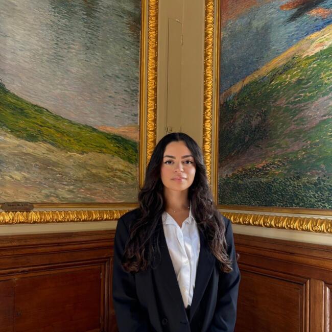 Babysitter in Ixelles-Elsene: Camillia