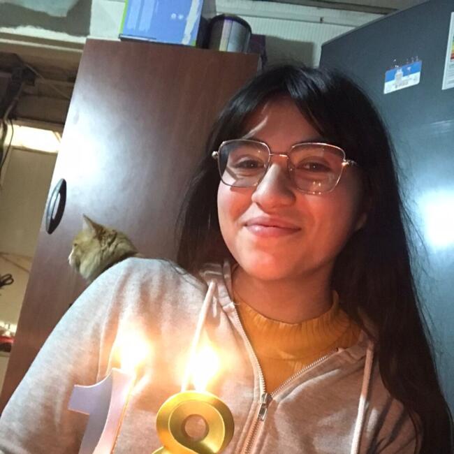 Babysitter in Temuco: Dominique