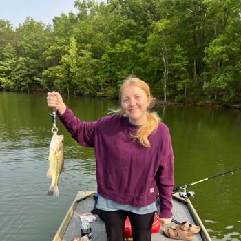 Babysitter in Troutville: Ava