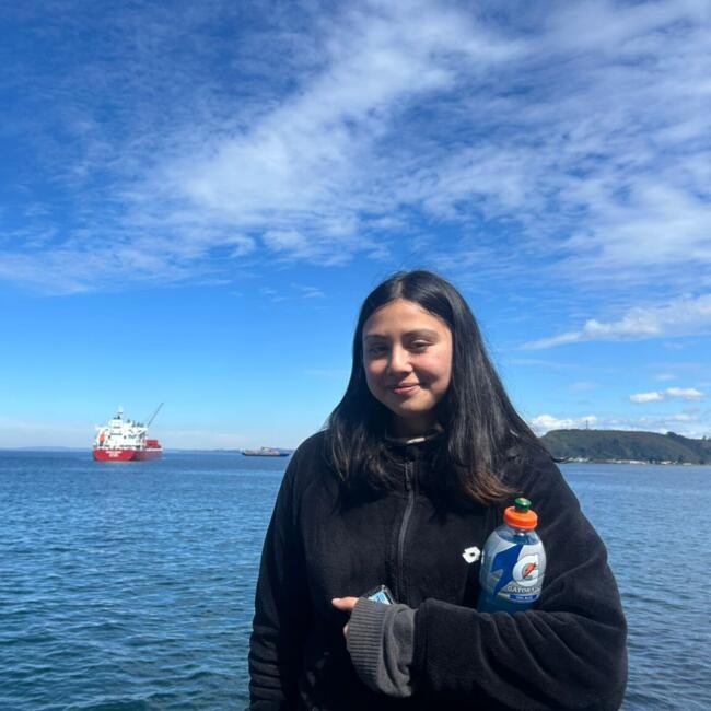 Niñera en Puerto Montt: Valeria