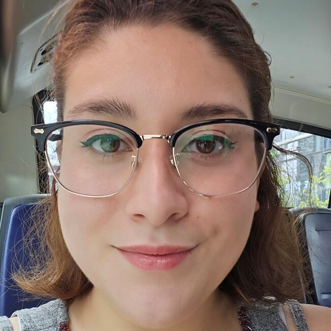 Babysitter in Seoul: Perry