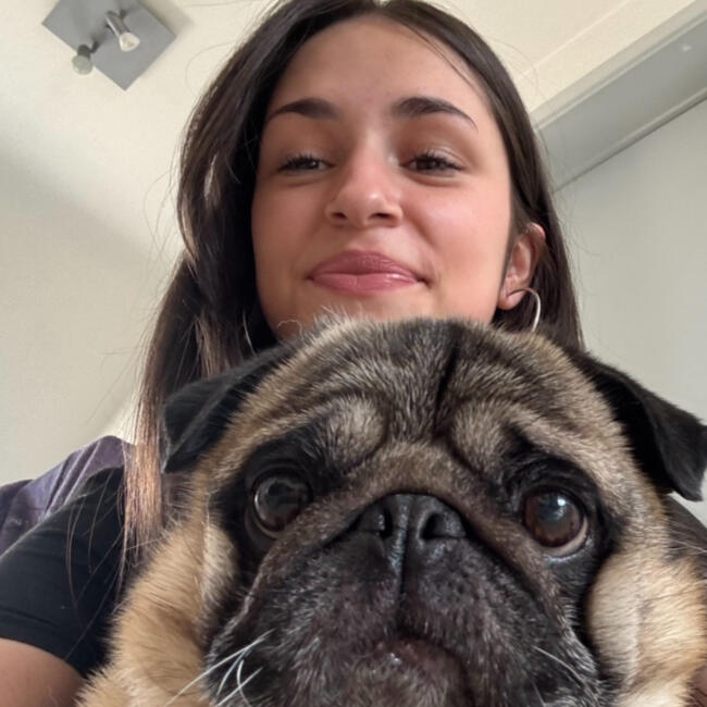 Babysitter in Anvers: Danica