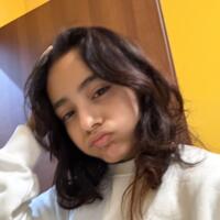 La mia famiglia e i miei amici