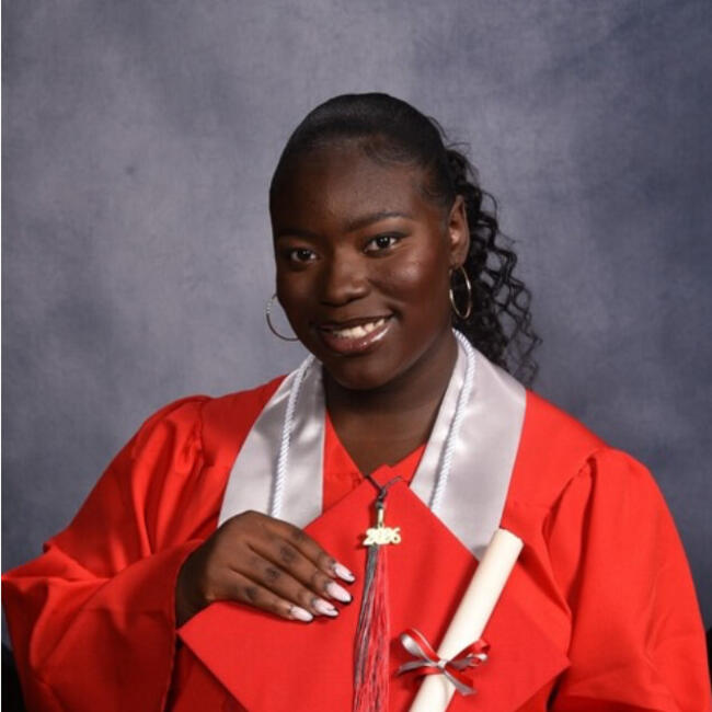 Babysitter in Dresher: Monica