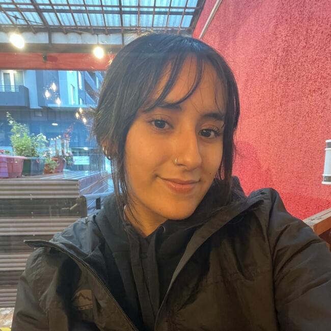 Babysitter in Talcahuano: María Paz