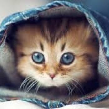 Baby-sitter Sallanches: Lylou