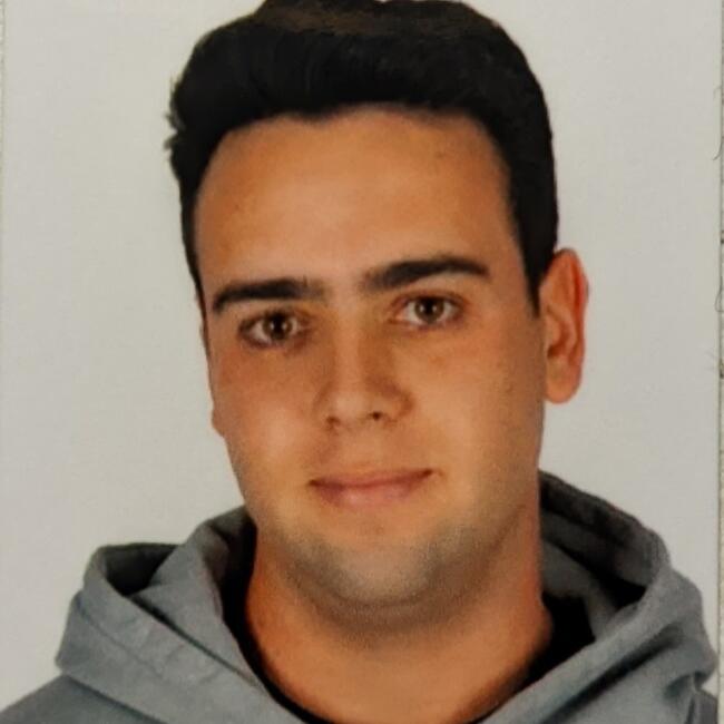 Babysitter in Greystones: Javier