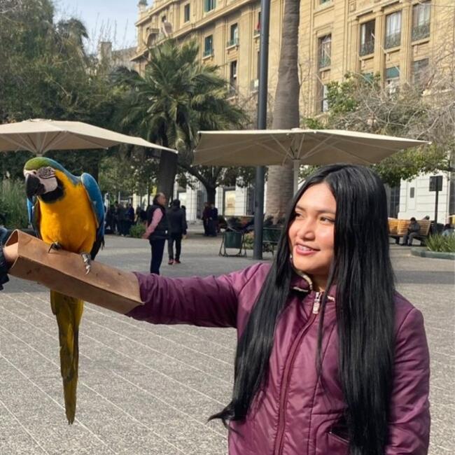 Niñera en Santiago de Chile: Tracy