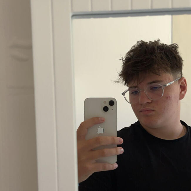 Babysitter in Yvré-le-Pôlin: Valentin