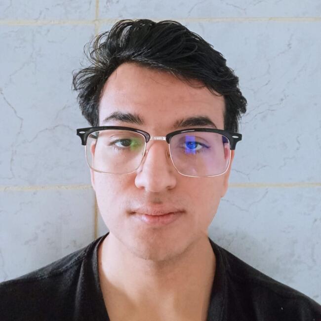 Babysitter in Valparaíso: Daniel cataldo