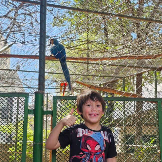 Emprego de babá em Campinas: Rafael