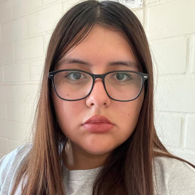 Babysitter in Temuco: Emilia
