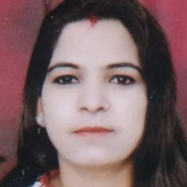 दिल्ली में बेबीसिटर: Sarita