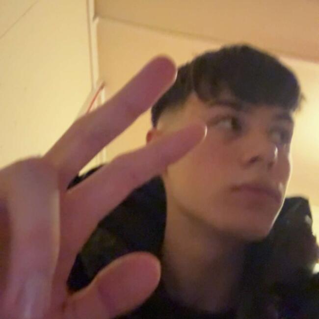 Babysitter in Wien: Botond