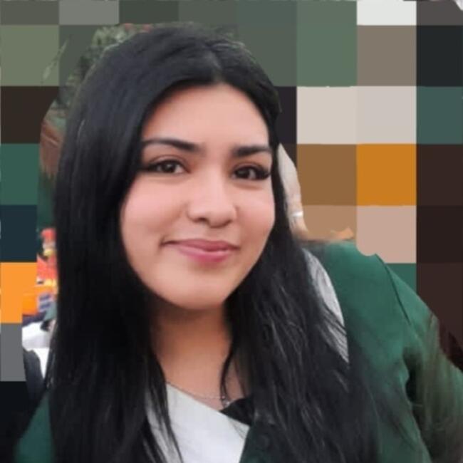 Babysitter in Concepción: Teresa